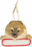 POMERANIAN WITH NAME PLATE