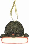 BLACK POMERANIAN WITH NAME PLATE