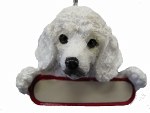 WHITE POODLE PUPPY WITH NAME PLATE