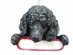 BLACK POODLE WITH NAME PLATE