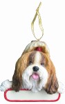 SHIH TZU TRI WITH NAME PLATE