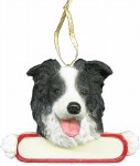 BORDER COLLIE WITH PLAQUE