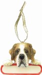 SAINT BERNARD WITH NAME PLATE