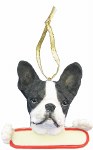 BOSTON TERRIER WITH PLACQE