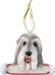 BEARDED COLLIE