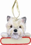 CAIRN TERRIER WITH PLAQUE