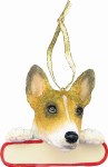 BASENJI WITH NAME PLATE