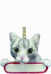 SILVER TABBY WITH NAME PLATE