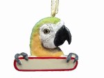 MACAW PARROT WITH NAME PLATE