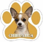 CHIHUAHUA, TAN CAR MAGNET