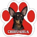 BLACK CHIHUAHUA MAGNET