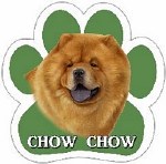 CHOW DOG MAGNET