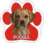 PUGGLE CAR MAGNET