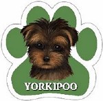 YORKIPOO MAGNET