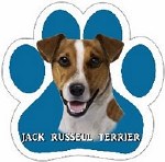 JACK RUSSELL CAR MAGNET