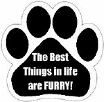 PAW PRINT MAGNET BEST THINGS IN LIFE ARE FURRY!