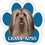 LHASA APSO MAGNET