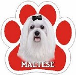 MALTESE MAGNET