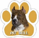 PIT BULL BRINDLE