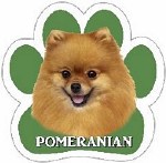 POMERANIAN MAGNET