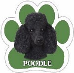 BLACK POODLE MAGNET