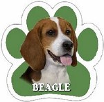 BEAGLE CAR MAGNET