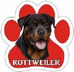 ROTTWEILER MAGNET