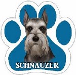 CROPPED SCHNAUZER MAGNET