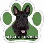 SCOTTIE MAGNET