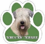 WHEATEN TERRIER MAGNET