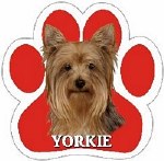 YORKIE CAR MAGNET