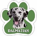 DALMATIAN MAGNET