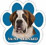 SAINT BERNARD MAGNET