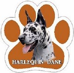 HARLEQUIN DANE MAGNET