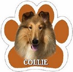 COLLIE MAGNET