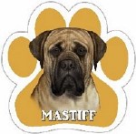 MASTIFF MAGNET