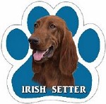 IRISH SETTER MAGNET