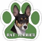 RAT TERRIER MAGNET