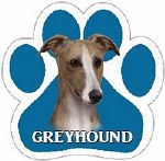 GREYHOUND TAN AND WHITE MAGNET