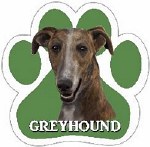 GREYHOUND BRINDLE MAGNET