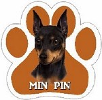 MIN PIN MAGNET