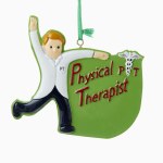 PHYSICAL THERAPIST