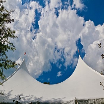 2026 Friend of Festival $100