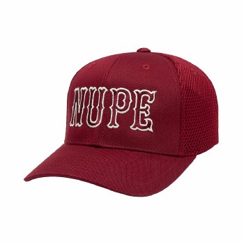 Kappa Alpha Psi NUPE Fitted Cap