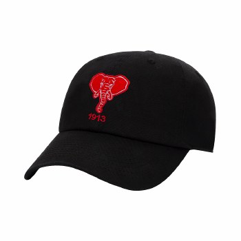Delta Sigma Theta &quot;Elephant &amp; Founding Year&quot; Dad Cap
