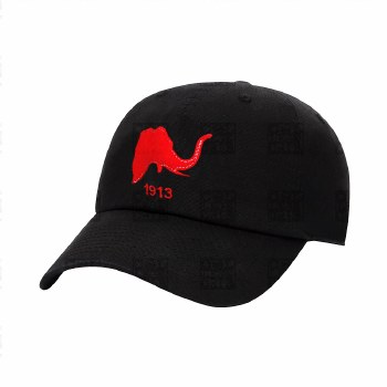 Delta Sigma Theta  "High Goals" &amp; Founding Year Cap