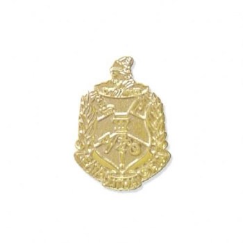 Delta Sigma Theta Sandblast Shield Lapel