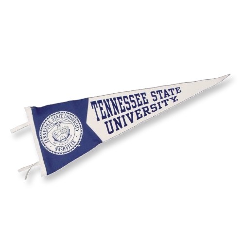 Montana State University Felt Pennant