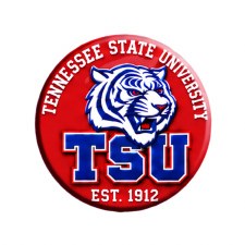 Tiger Heritage Button