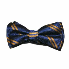 Mason Striped Bowtie